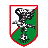 https://img.gohaa.com/img/football/team/e6a8908dd206e2ea02d9803c82c60bba.png